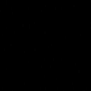 Meet your Posher, Maddy